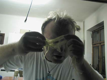 05VisekSpagetov.JPG (20057 bytes)